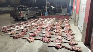 PUERTO DESEADO: PROCEDIMIENTO POR CAZA ILEGAL Y SECUESTRO DE ARMAS DE FUEGO