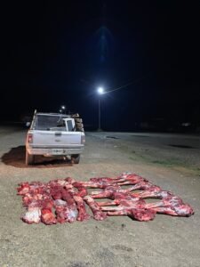 INTERCEPTARON UNA CAMIONETA QUE TRANSPORTABA CARNE DE GUANACO